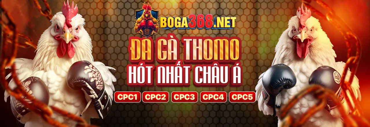 Hướng dẫn chơi rikvip chi tiết cho người mới
